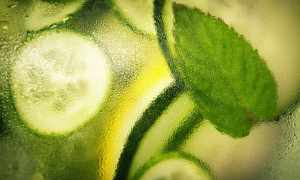 极端动物保护主义酿惨剧：英国四人因折磨人类入狱