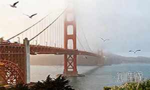 美加关税战升级:中国外贸与北极经济新变局