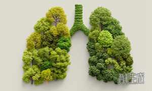 日本网红眼药水暗藏“杀机”