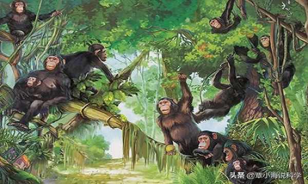 森林古猿想象图
