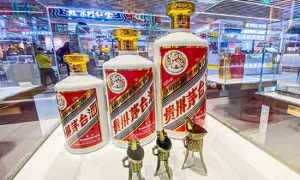 2020年茅台gdp总量_2020年茅台图片(2)